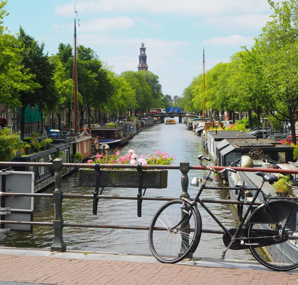 relocate to the netherlands